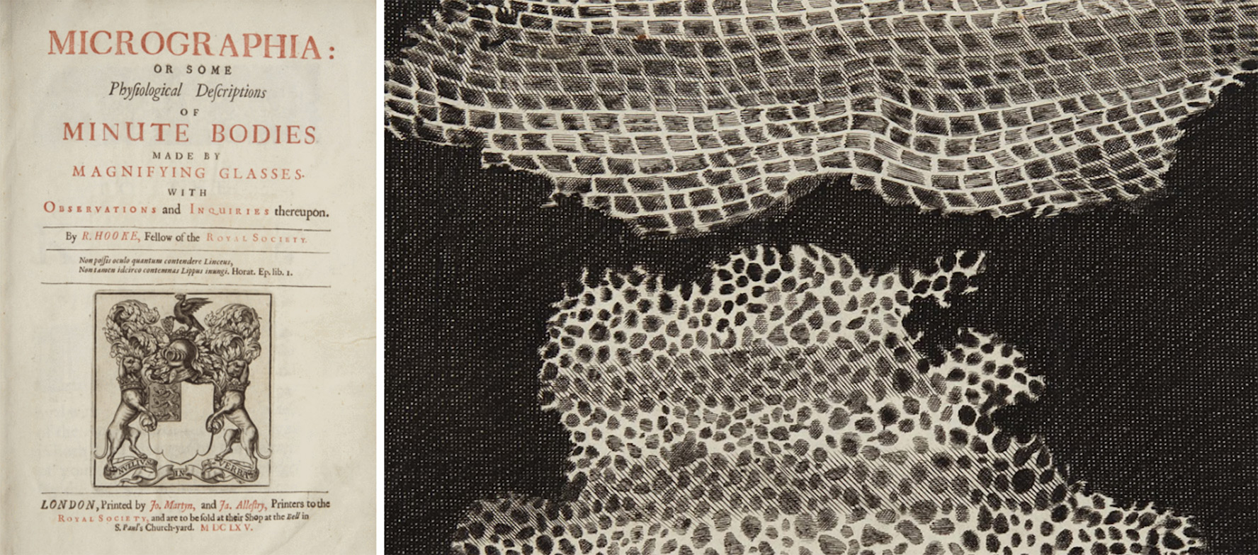 胡克的《显微图谱》（Micrographia）透过显微镜揭示了一个丰富的微观世界，细胞的最初发现便在其中。图片来自威尔士国家图书馆。
